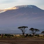 Amboseli-Kilimanjaro-view
