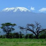 Amboseli-views