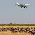 Mara-flying-safaris