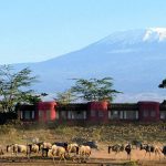 Amboseli-Serena-Lodge