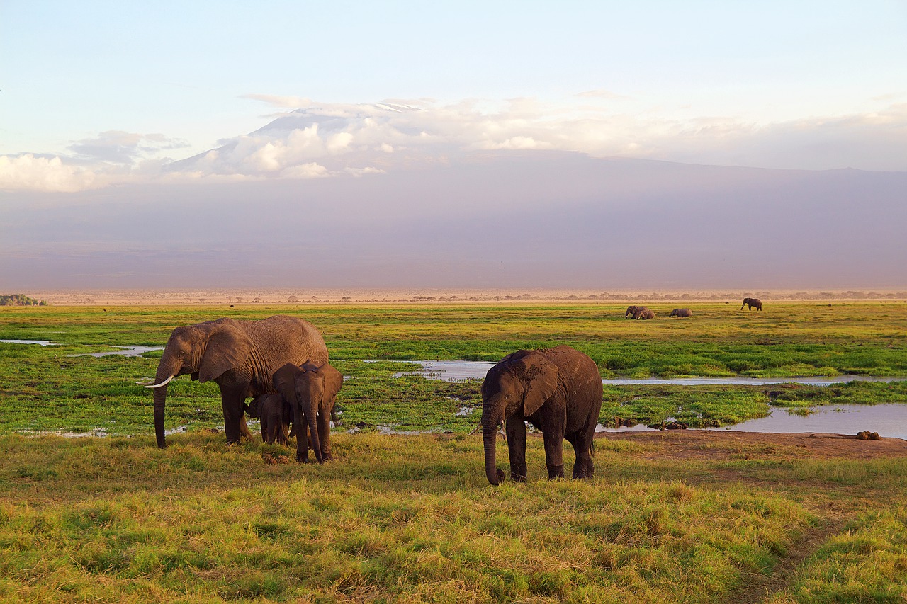 southern kenya tourist attractions