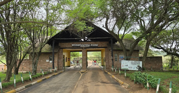 Top Masai Mara Safari Packages