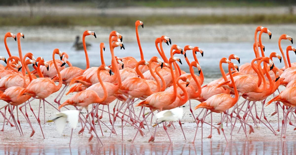 10-Day Kenya Safari Itinerary