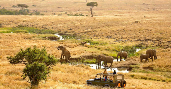 Conservancy vs National Park