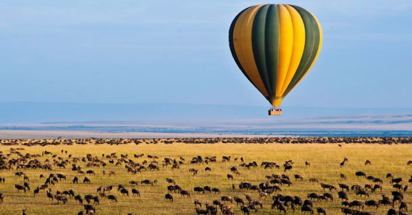 Hot Air Balloon Safaris