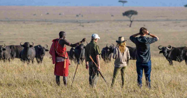 Kenya Walking Safaris