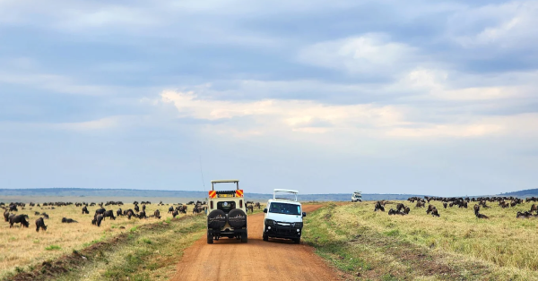 Flying Safaris in Kenya