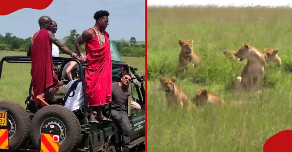 Kenya Safari Experiences