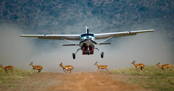 Flying Safari Kenya