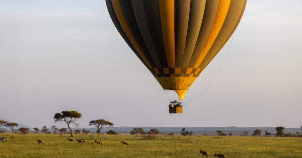 Hot Air Balloon Safari