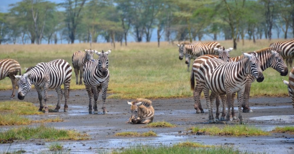 Top 10 Places to Visit in Kenya