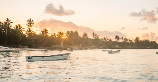 Best Time to Visit Kenya