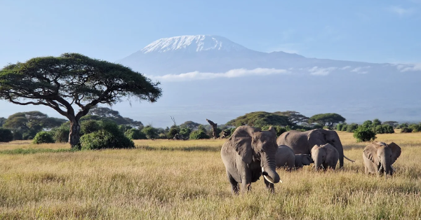 Holiday Destinations in Kenya