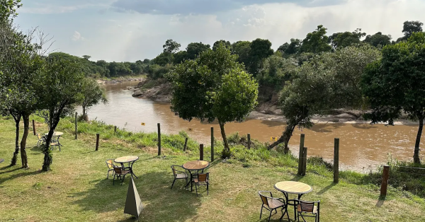 Wildebeest Migration in Kenya