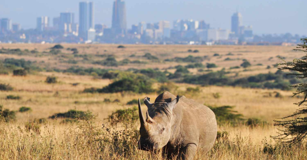 Kenya Holiday Guide 2026