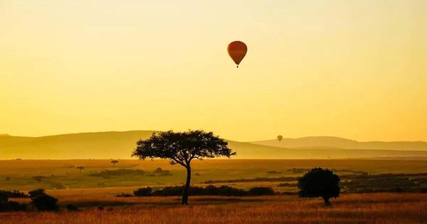 Best Safari Parks in Kenya