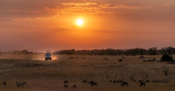 Kenya Safari Itinerary