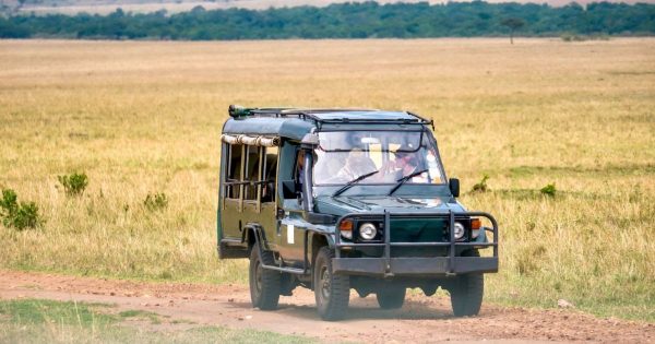 Kenya Safari Itineraries