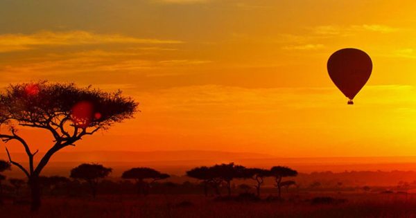 Masai Mara Hot Air Balloon Safari