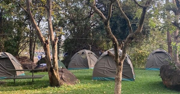 Family Safari Packages in Kenya