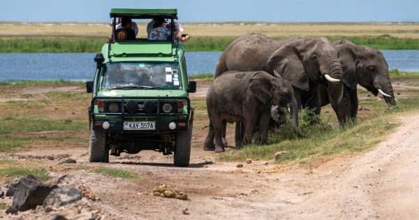 Amboseli Safari Packages