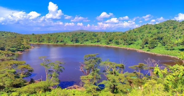 Lake Naivasha Safari Tours