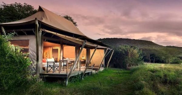 Team Building Safaris in Kenya