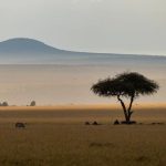 12 Days Kenya Safari