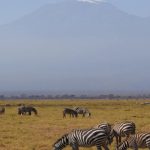 4-Day Amboseli Safari Itinerary