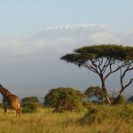 4-Day Amboseli Safari Itinerary (4)