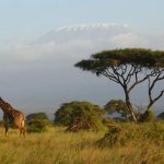 5-Day Amboseli & Tsavo Safari