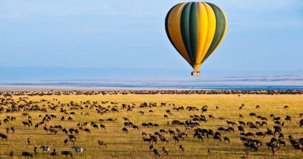 Kenya Safari Travel Tips