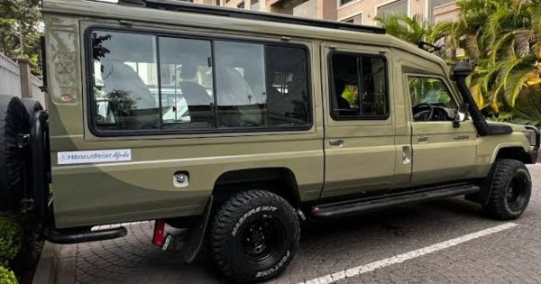 Kenya Safari Transfers