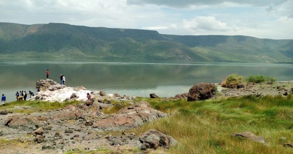 Lake Bogoria Safari