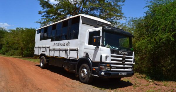 Masai Mara vs Amboseli