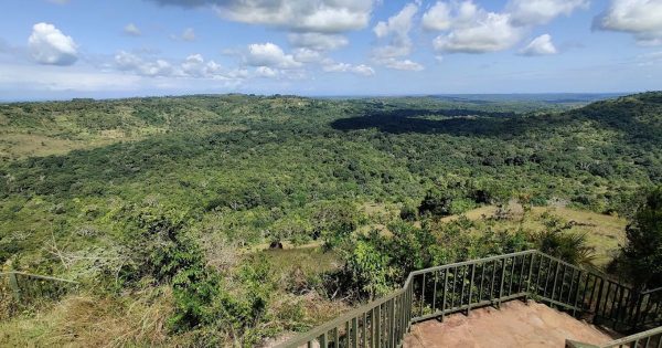 Mombasa Safari Tours