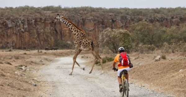 Student Safari Packages in Kenya