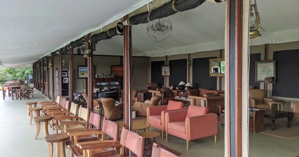 Safari Packages in Kenya