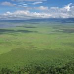 4 Days Tarangire & Ngorongoro Safari (3)