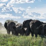 6-Day Tanzania Safari Itinerary (2)