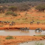 9-Day Kenya Safari and Diani Beach Holiday