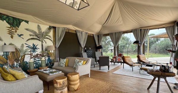 Ol Pejeta Safari Packages in Kenya