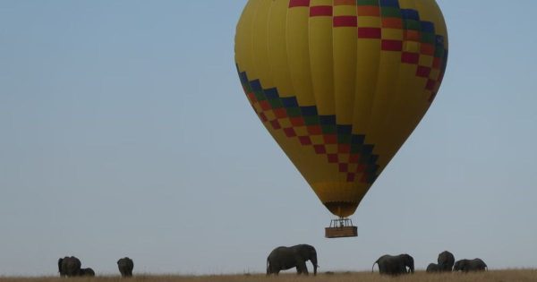 Private Safari Packages in Kenya