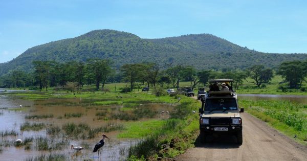 Private Safari in Kenya