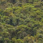 13-Day Uganda Adventure Primate & Wildlife Safari (3)