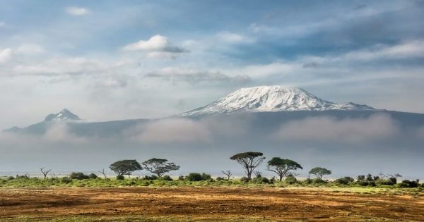 2-day Amboseli safari from Nairobi
