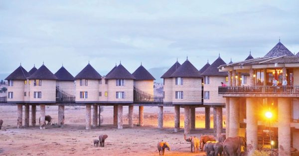2-Day Tsavo East Safari from Diani Beach