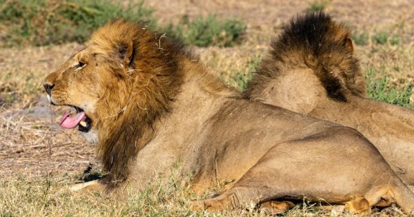 6-Day Kenya Safari Itinerary
