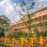 6-Day Uganda Chimpanzee & Wildlife Safari