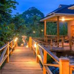 6-Day Uganda Chimpanzee & Wildlife Safari (3)